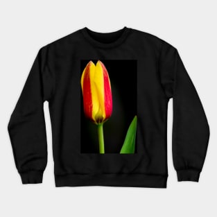 Tulip Crewneck Sweatshirt